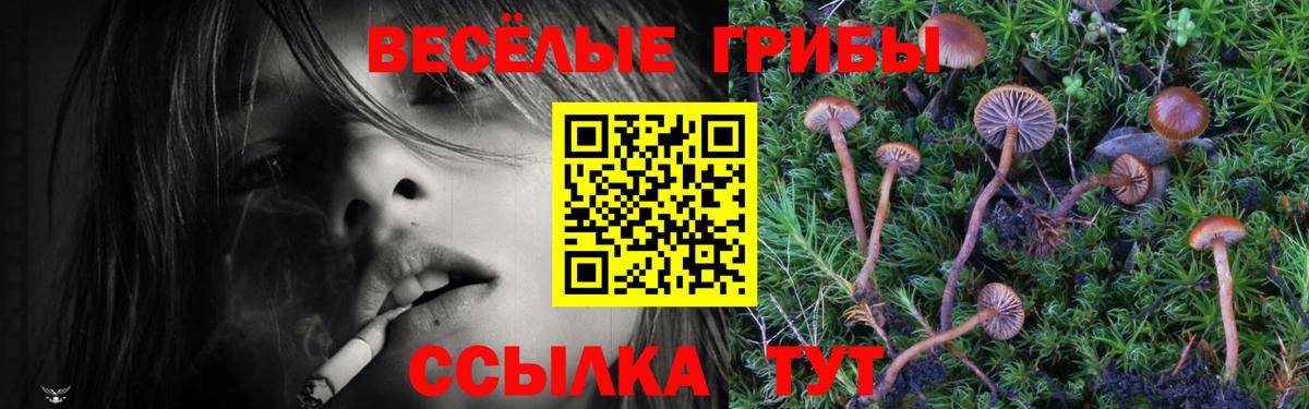 Галлюциногенные грибы Psilocybine cubensis Ханты-Мансийск